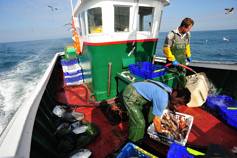 Fileyeur St Jean de Luz ae4.JPG